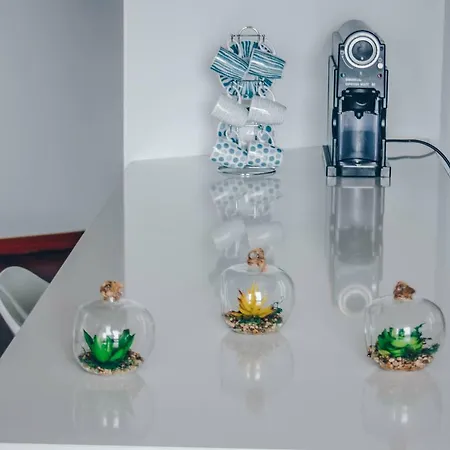 Lägenhet Horizon View Madeira *